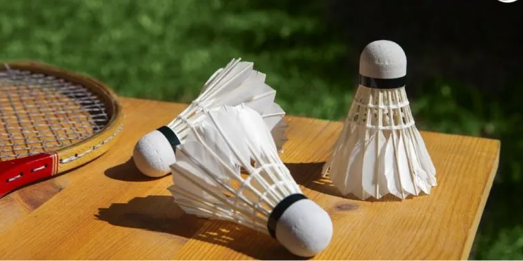 Bí Kíp Cá Cược Cầu Lông Tại DAGA Giúp Bạn Thắng Lớn 2 Bí Kíp Cá Cược Cầu Lông Tại DAGA Giúp Bạn Thắng Lớn