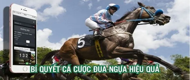 Giải Mã Các Kèo Cá Cược Đua Ngựa DAGA Hốt Bạc Tỷ 2 Giải Mã Các Kèo Cá Cược Đua Ngựa DAGA Hốt Bạc Tỷ